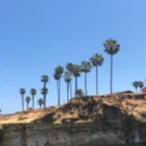 Meet your Posher, Cambareri